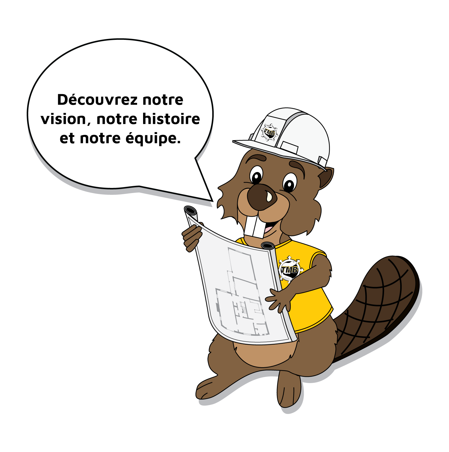 TMB Castor Accueil Background